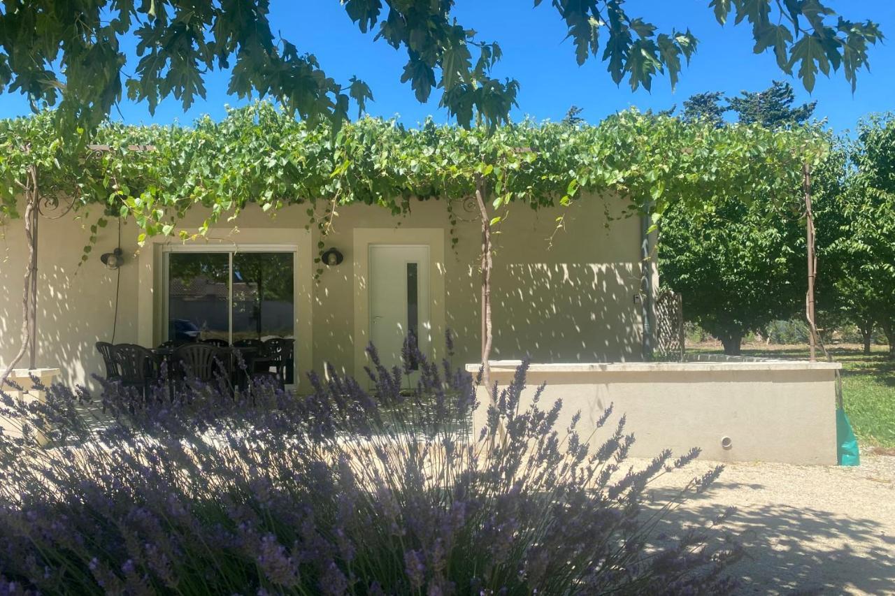 Le Ribbou Villa LʼIsle-sur-la-Sorgue Екстериор снимка